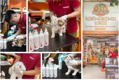 TỔNG KẾT NGÀY HỘI CHĂM SÓC THÚ CƯNG TẠI TIMES CITY PET: LAN TỎA YÊU THƯƠNG – NÂNG TẦM CHĂM SÓC