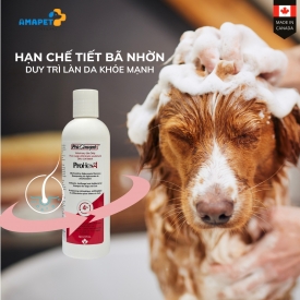  ProHex4, dầu gội chuyên dụng hỗ trợ chăm sóc da cho thú cưng
