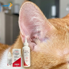 AMAPET mang đến giải pháp chăm sóc và điều trị viêm tai chó mèo hiệu quả với OtiScrub và OtiZole