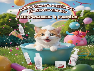  BỘ GIẢI PHÁP HỖ TRỢ ĐIỀU TRỊ NẤM DA CHO CHÓ & MÈO – LINH HOẠT, TOÀN DIỆN, DỄ SỬ DỤNG