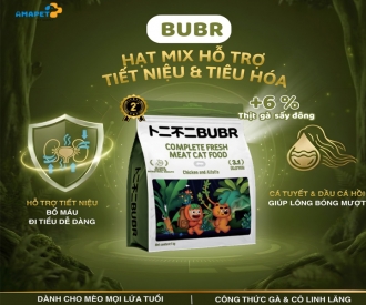  GIẢI ĐÁP TỪ A–Z VỀ HẠT BUBR HỖ TRỢ TIẾT NIỆU & TIÊU HÓA CHO MÈO