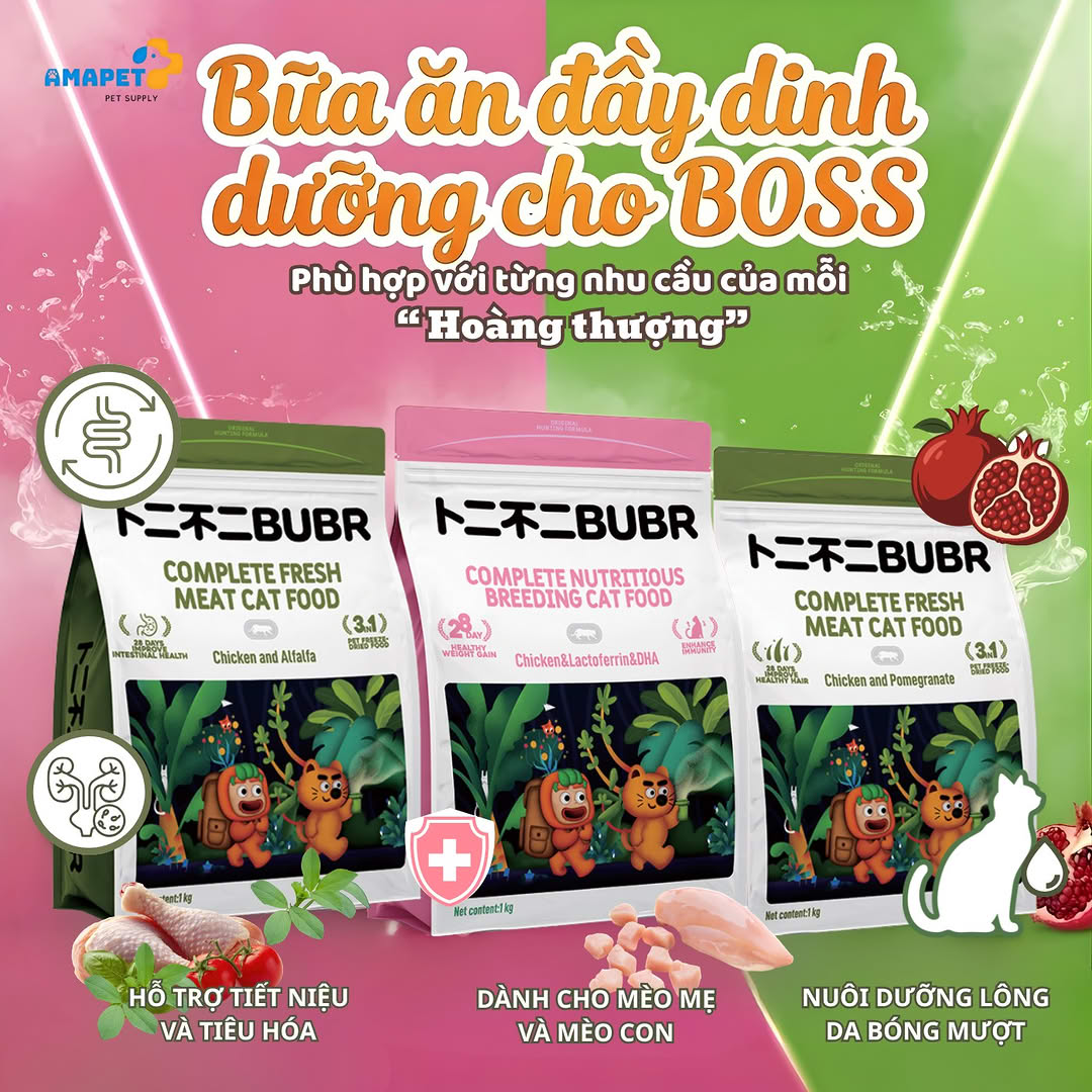 Khám phá hậu trường Nhà máy sản xuất Burr: Chuẩn hoá quy trình, nâng tầm chất lượng thức ăn thú cưng