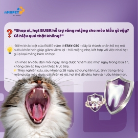 BUBR HẠT MIX chăm sóc răng