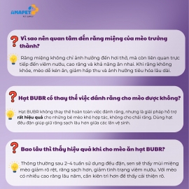 BUBR HẠT MIX chăm sóc răng