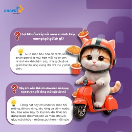 BUBR HẠT MIX chăm sóc răng